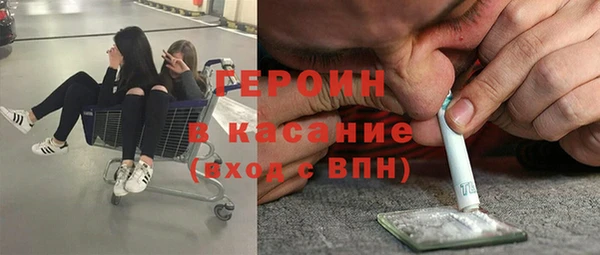 индика Гусь-Хрустальный