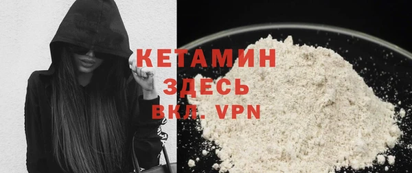 индика Гусь-Хрустальный