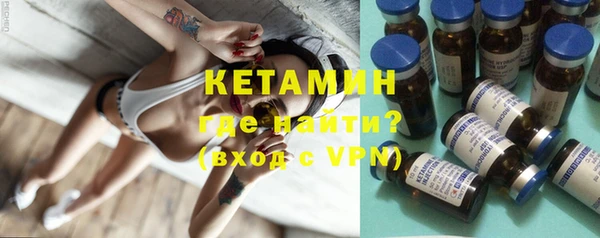 индика Гусь-Хрустальный