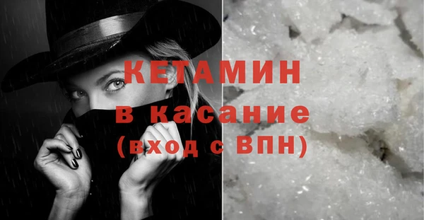 индика Гусь-Хрустальный