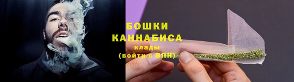 индика Гусь-Хрустальный
