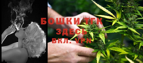 индика Гусь-Хрустальный