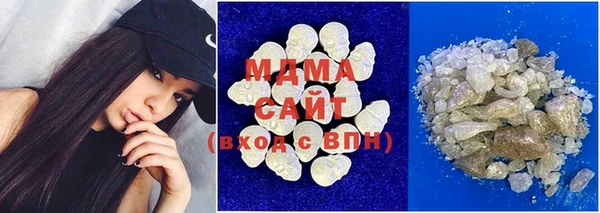 индика Гусь-Хрустальный
