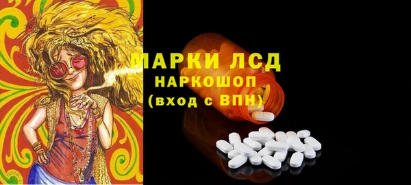 индика Гусь-Хрустальный